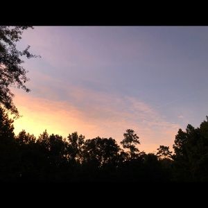 Meet your Posher, Cynthia